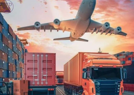 Export DG Shipping Warehousing Freight Amazon FBA Logistics Service